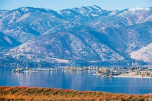 121671112_3636625563023870_979639941050035079_n